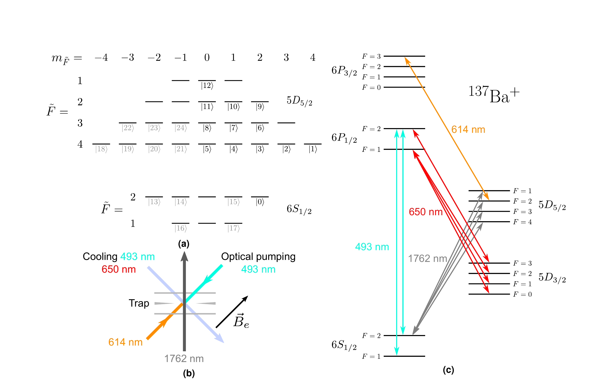 Energy-level diagram of 137Ba+ showing the hyperfine qubit states, cooling and repump transitions, and laser beam geometry.