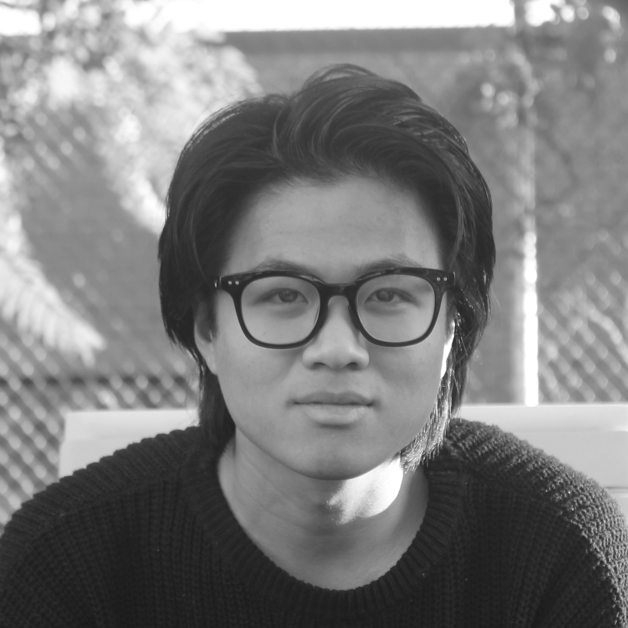 Hoang Long